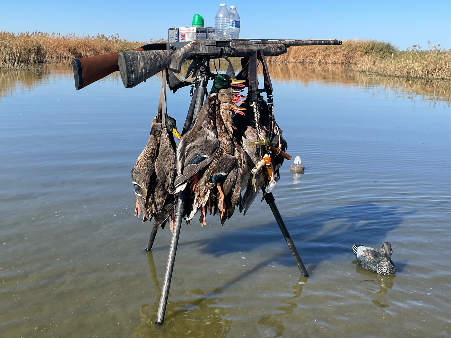 Ultimate Marsh Stand