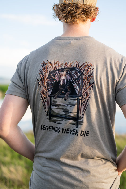 Legends Never Die Tribute