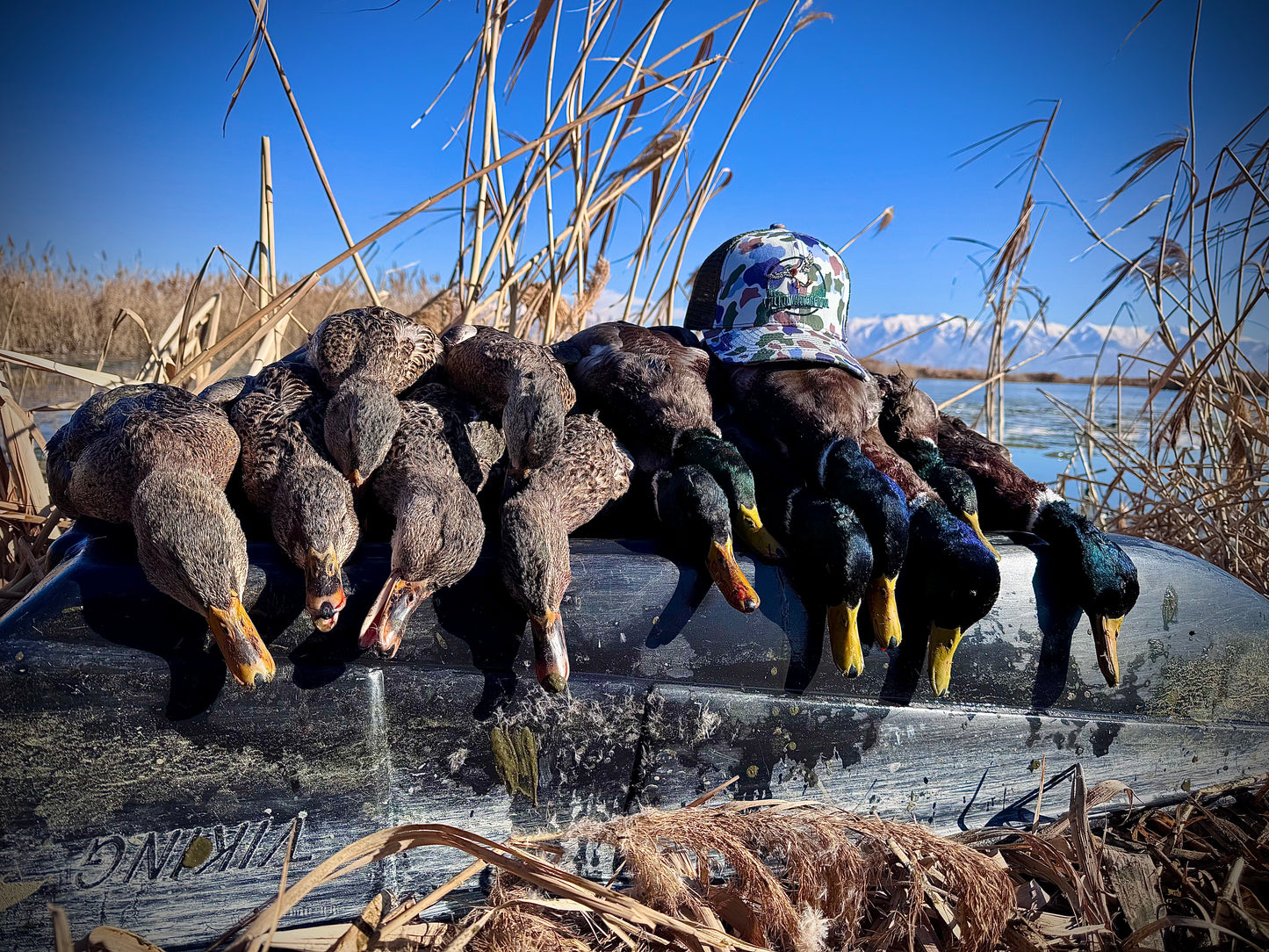 Retro Marsh Snapback – Mallard Edition