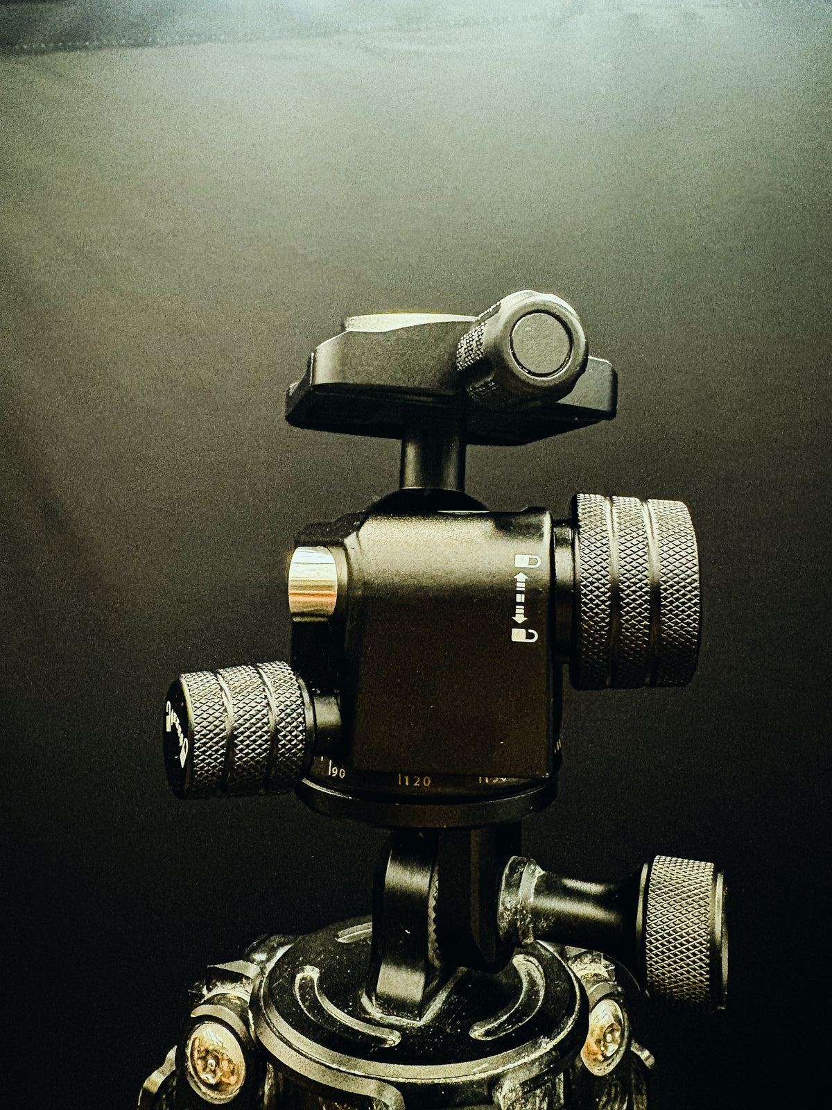 Wilko Ballshead/ Gun Clamp attachment